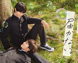 大连正规网站优化seo报价